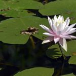 Anti Stress Empowerment