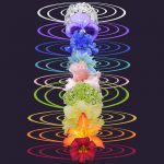 Chakra Flush Empowerment
