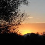 Fresh Morning Air Reiki