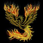 Fire of the Phoenix