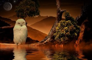 Goddess Athena's White Owl Empowerment