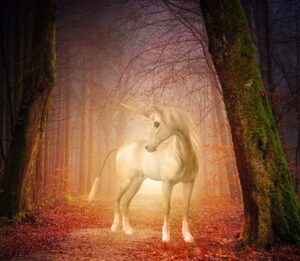 Magick of the Unicorn Empowerment Reiki