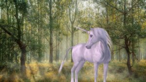 Love and Return of Unicorns Empowerment