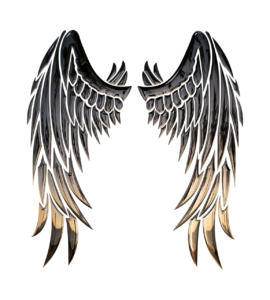 Angel Wings Attunement