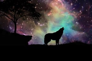 Mystical Forest Wolf Empowerment