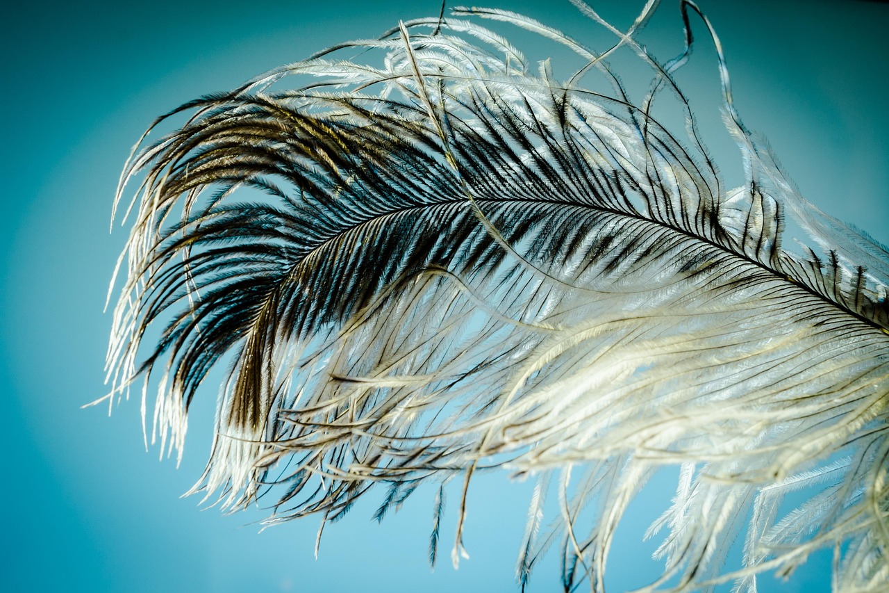 Silver Feather Cosmic Harmonizer from Ma'at