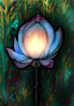 Codes of Creation Womb Frequency