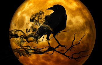 Samhain Thinning of the Veils Reiki