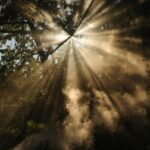 Ray of hope self-attunement